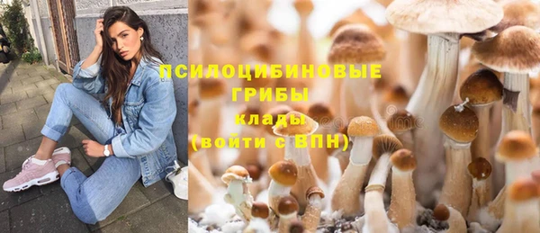 дурь Ладушкин