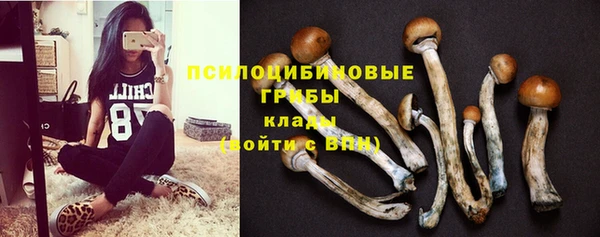 mix Краснослободск