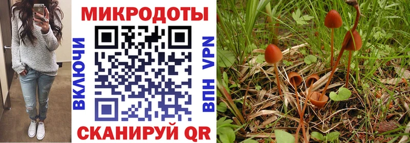сколько стоит  Мамадыш  Галлюциногенные грибы мухоморы 